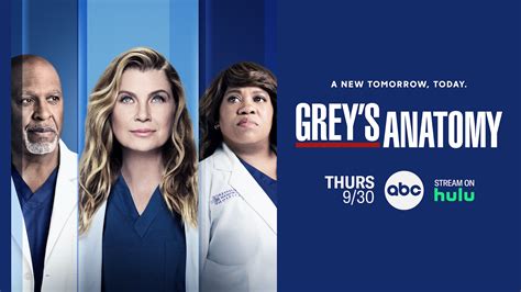 grey's anatomy torrentz|grey's anatomy torrent 18 temporada.